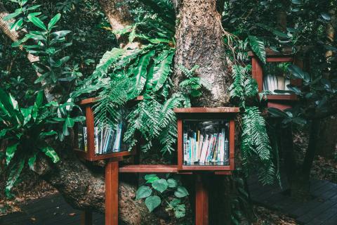 Photo by <a href="https://unsplash.com/@hitoshi_suzuki?utm_content=creditCopyText&utm_medium=referral&utm_source=unsplash">Hitoshi Suzuki</a> on <a href="https://unsplash.com/photos/books-piled-on-brown-wooden-bookshelf-1COcTd3pRCg?utm_content=creditCopyText&utm_medium=referral&utm_source=unsplash">Unsplash</a>   