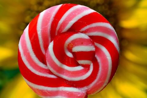 Close up photo of a red and pink swirling striped lollipop