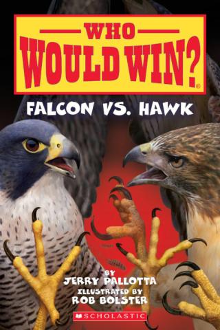 Cover image for Who Would Win: Falcon Vs. Hawk. A fierce looking falcon is on the left and a fierce looking hawk is on the right.