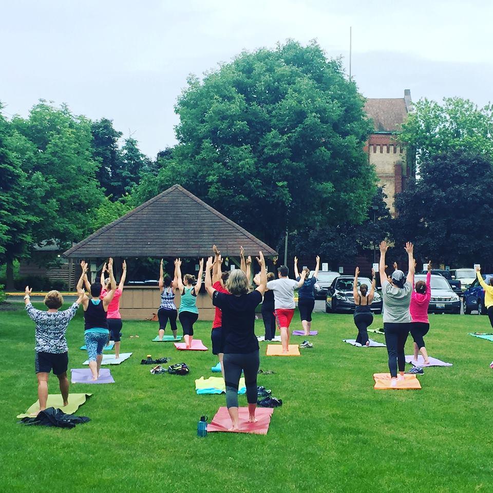 people in yoga positions in the Grove